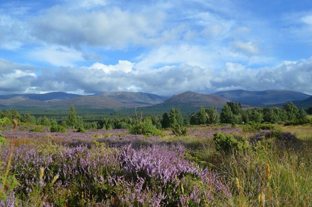 Cairngorms National Park