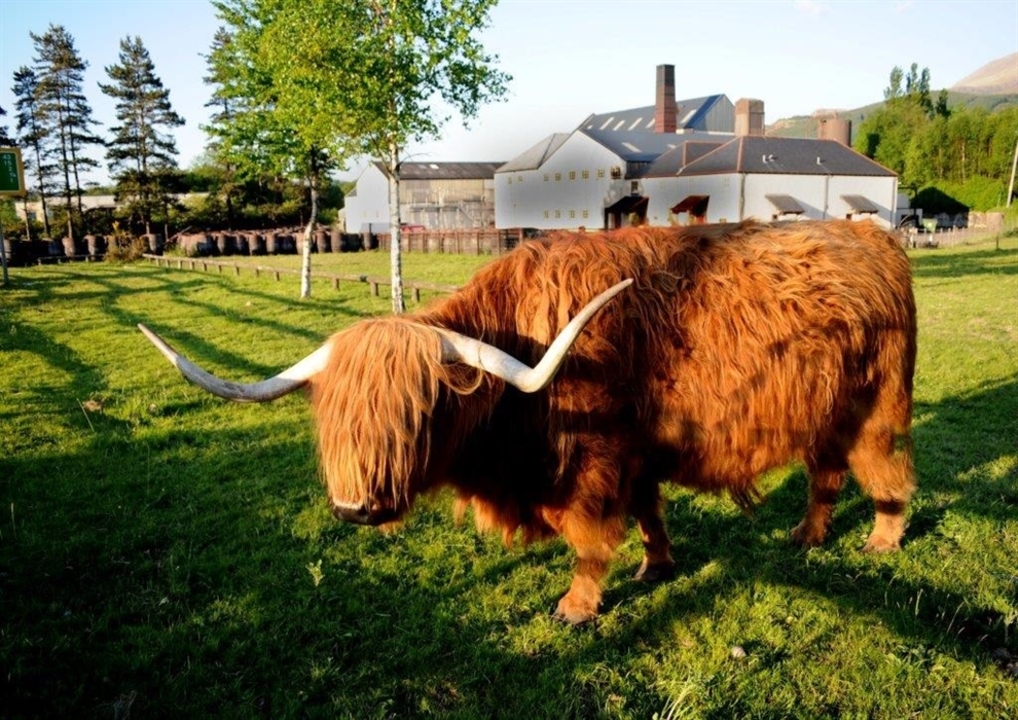 Ben Nevis Distillery