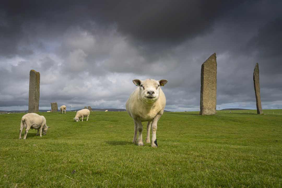 Standing Stones of Stenness