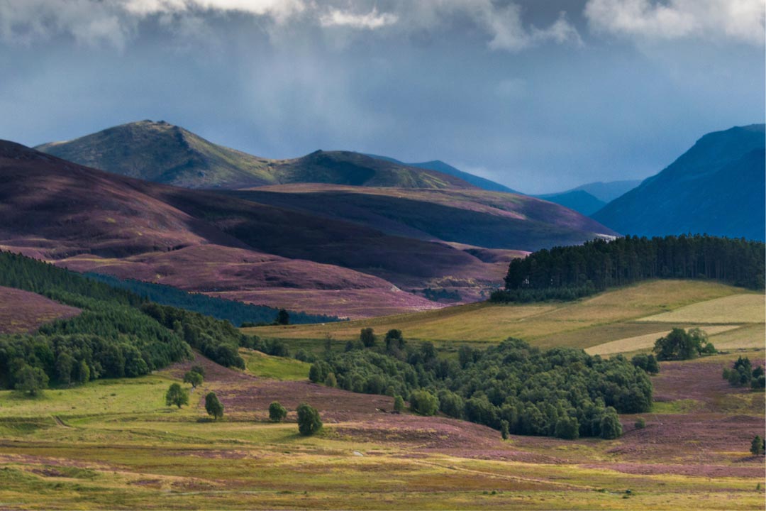 Cairngorms National Park
