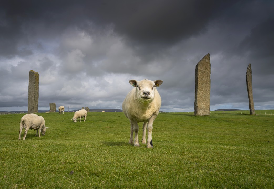 Standing Stones of Stenness, Orkney